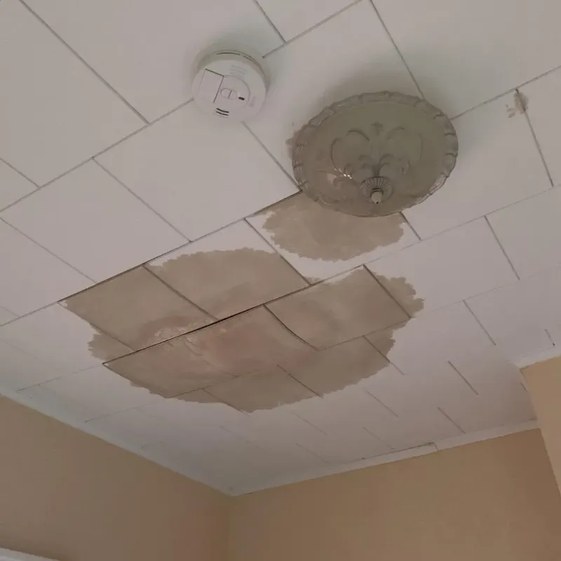Ceiling Water Damage Repair in Mount Penn, PA
