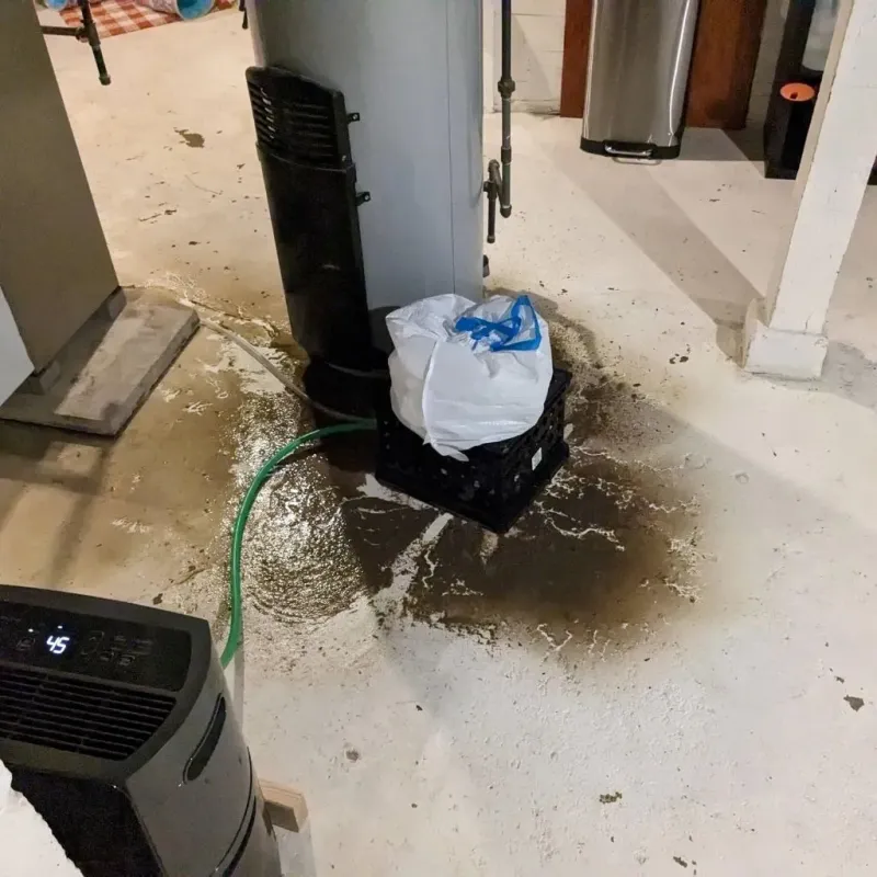 Sewage Backup Cleanup Service in Mount Penn, PA